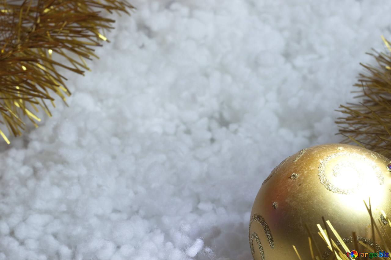 Celebrate wollstonecraft shelley beginning