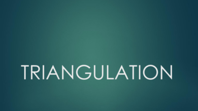 Triangulation in the workplace