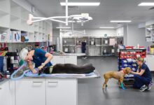 Facility aims to improve overall efficiency attract additional veterinarians