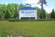 Work continues on georgia pacific expansion