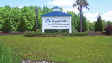 Work continues on georgia pacific expansion