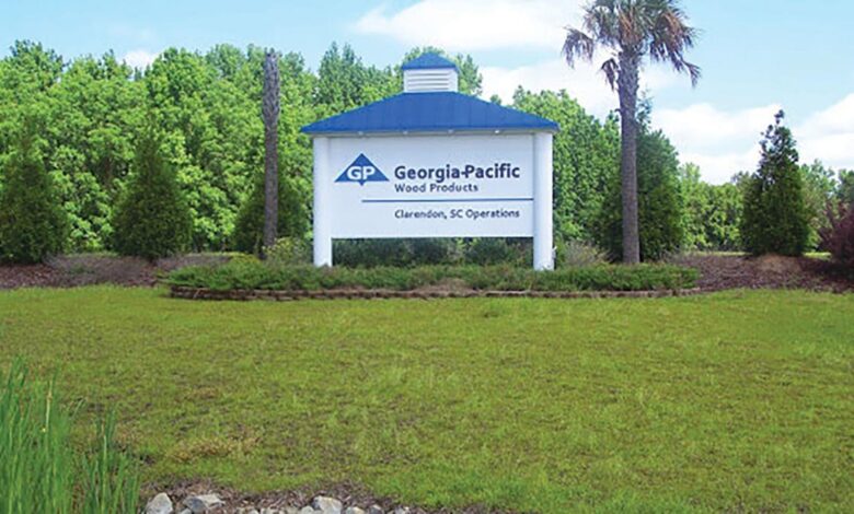 Work continues on georgia pacific expansion