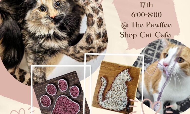 The pawffee shop cat cafe a purrfect blend