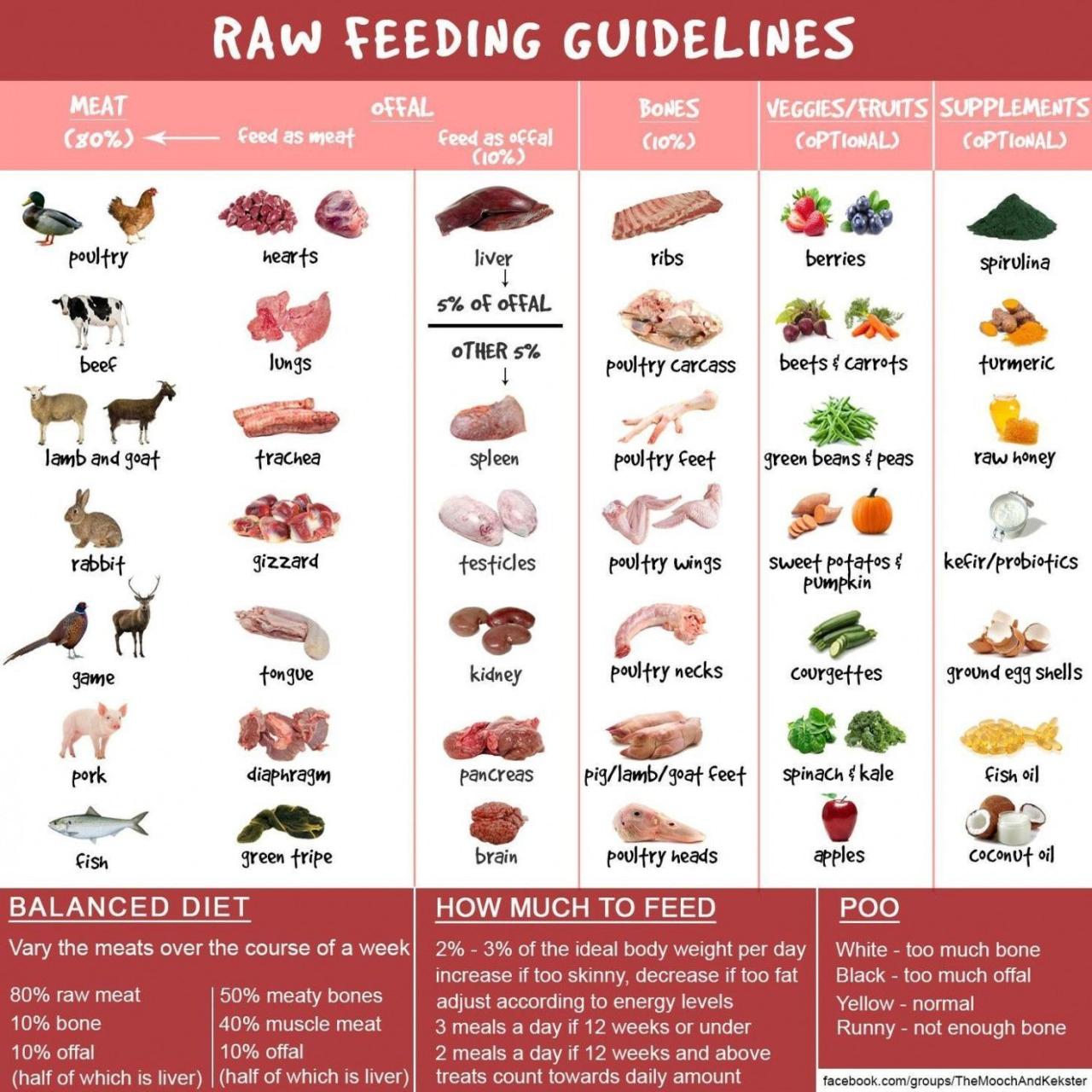 Feeding your pet the way nature intended raw