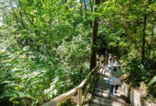 Award sustainability recognized winners