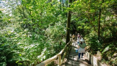 Award sustainability recognized winners