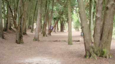 Us womens disc golf championship coming to manitowoc county