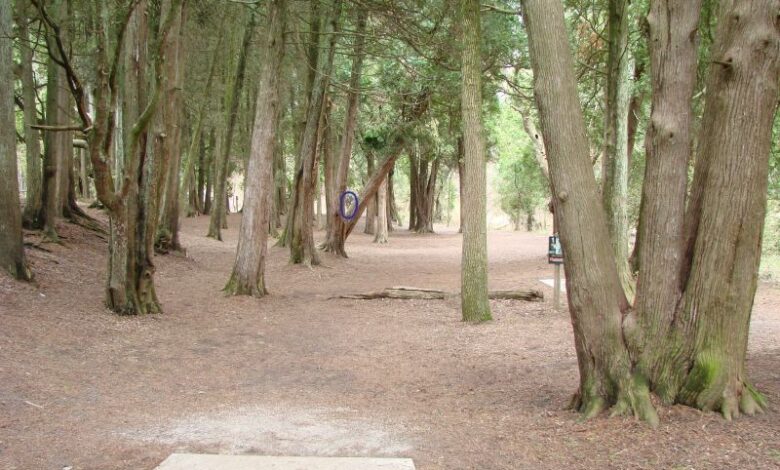 Us womens disc golf championship coming to manitowoc county