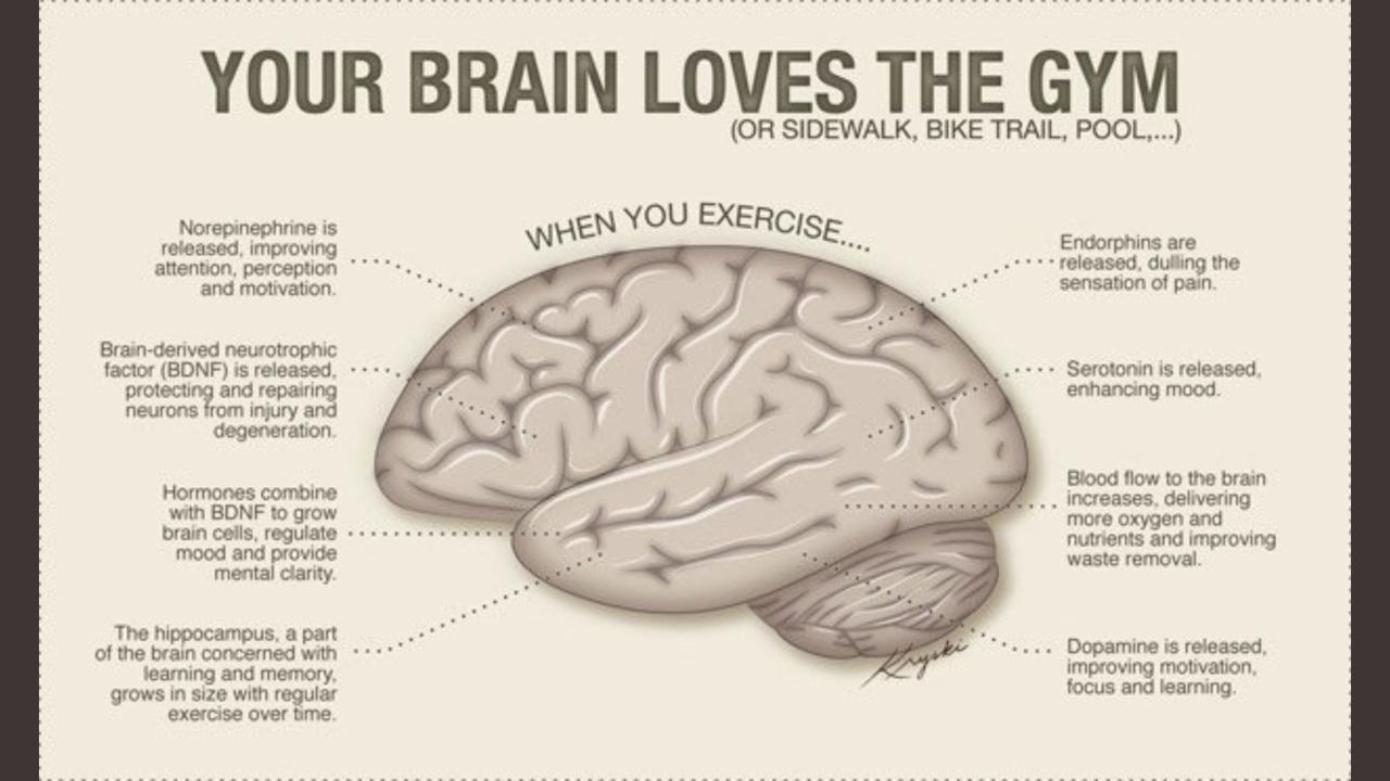 Creating connections through steam sweat and relaxation