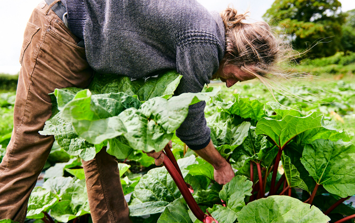 A place for connecting with food those who grow it