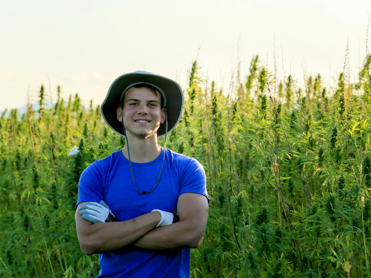 Hemp farmers face uphill battle