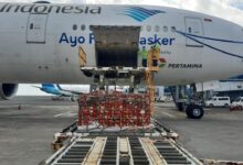 Grb sees passenger cargo increases