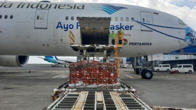 Grb sees passenger cargo increases