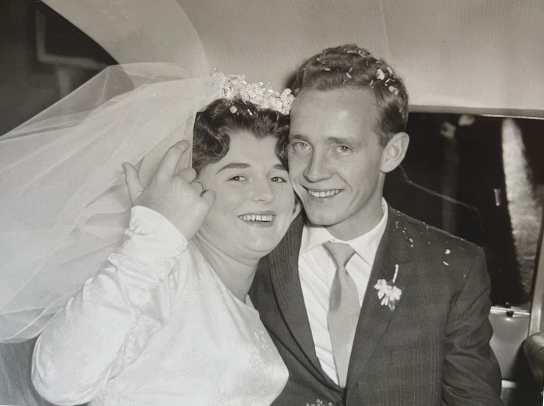 Two rivers business celebrates 60 years of christmas trees wreaths