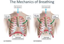 Jet occurs inlet silence shock