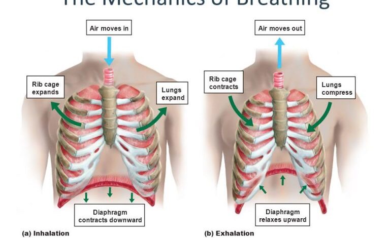 Jet occurs inlet silence shock