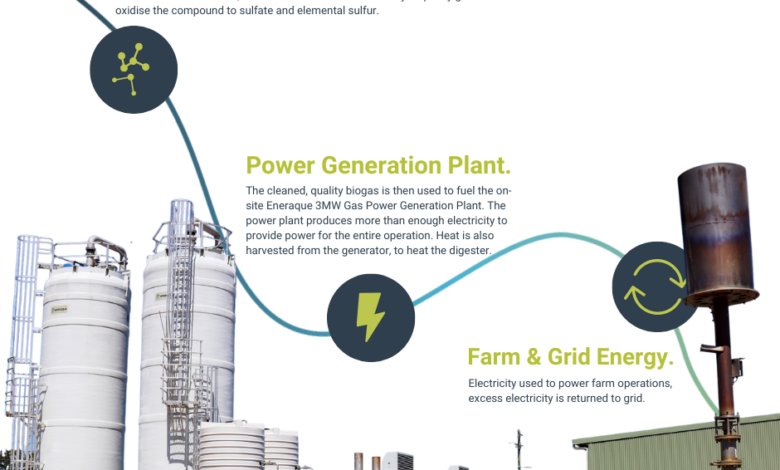 Energy waste renewable converted wastes