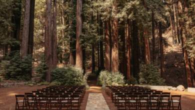 Wooded bluffs pine trees a west coast wisconsin wedding