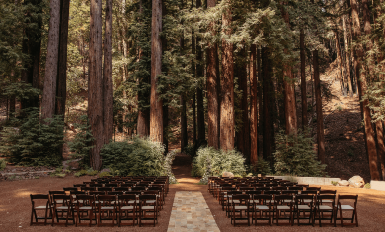 Wooded bluffs pine trees a west coast wisconsin wedding