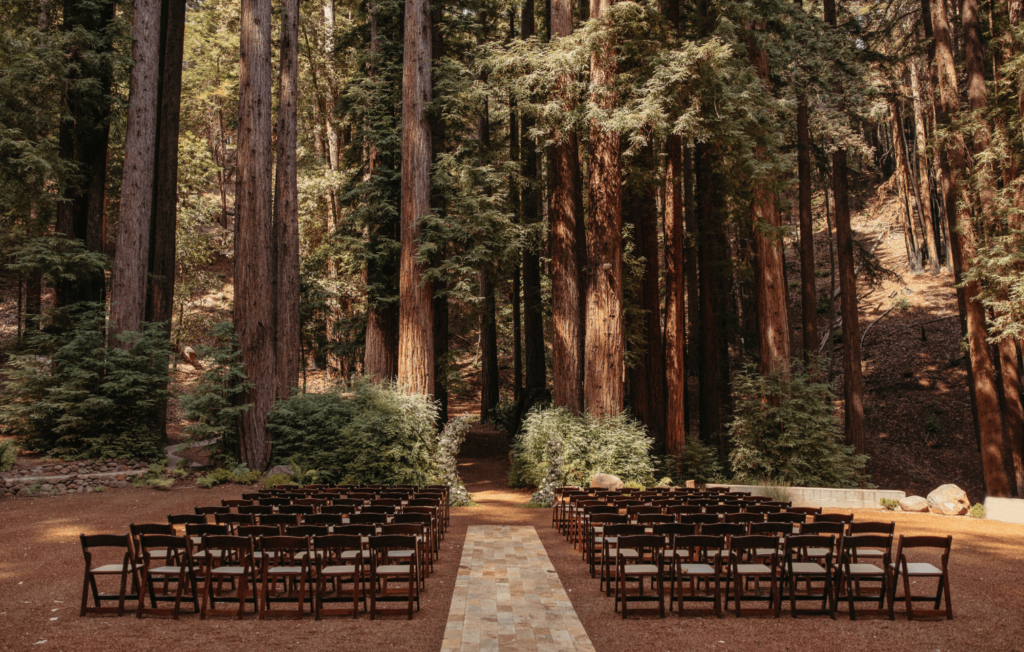 Wooded bluffs pine trees a west coast wisconsin wedding