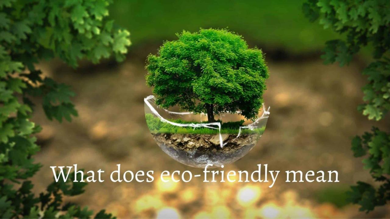 What does eco friendly actually mean