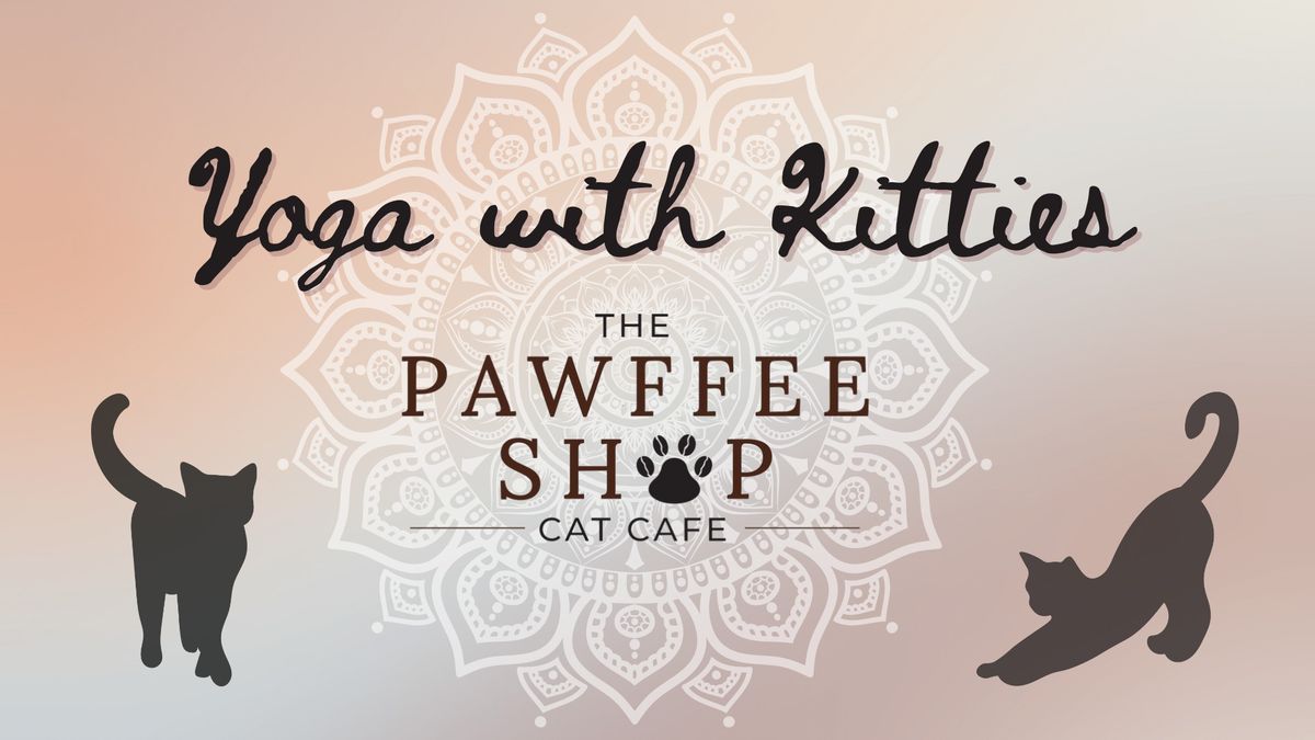 The pawffee shop cat cafe a purrfect blend