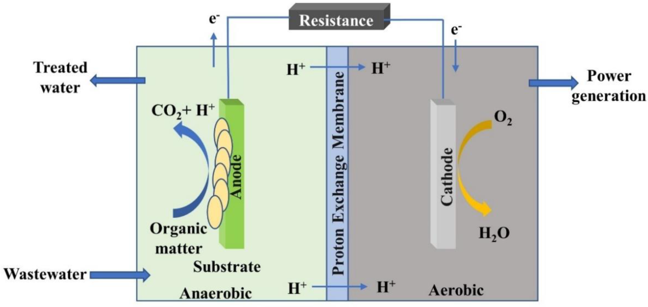 Dairy waste renewable energy