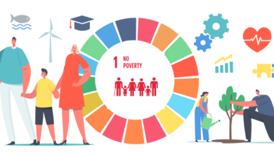 A practical framework for addressing the socio ecological crisis