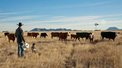 Farming nurtures family legacy one cow at a time