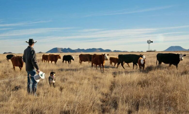 Farming nurtures family legacy one cow at a time