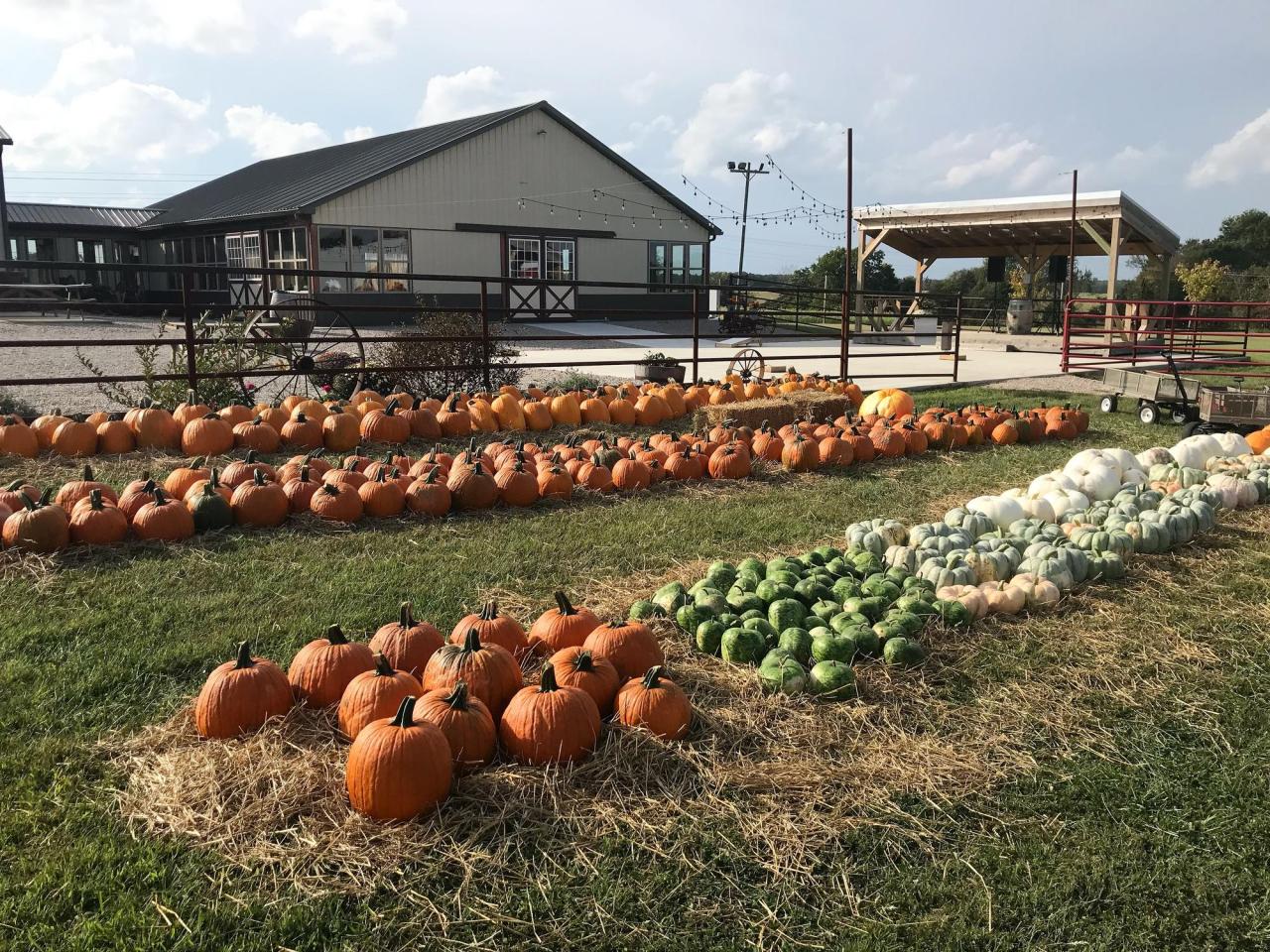 Farms heartland pickyourown