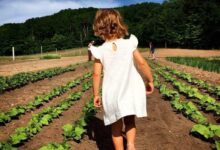 Sharing the benefits of homesteading with others