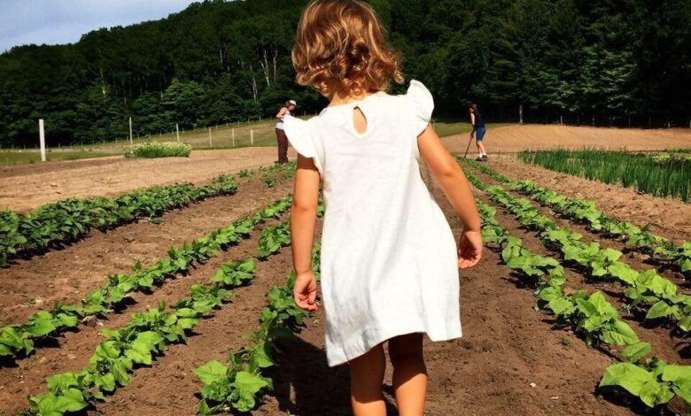 Sharing the benefits of homesteading with others