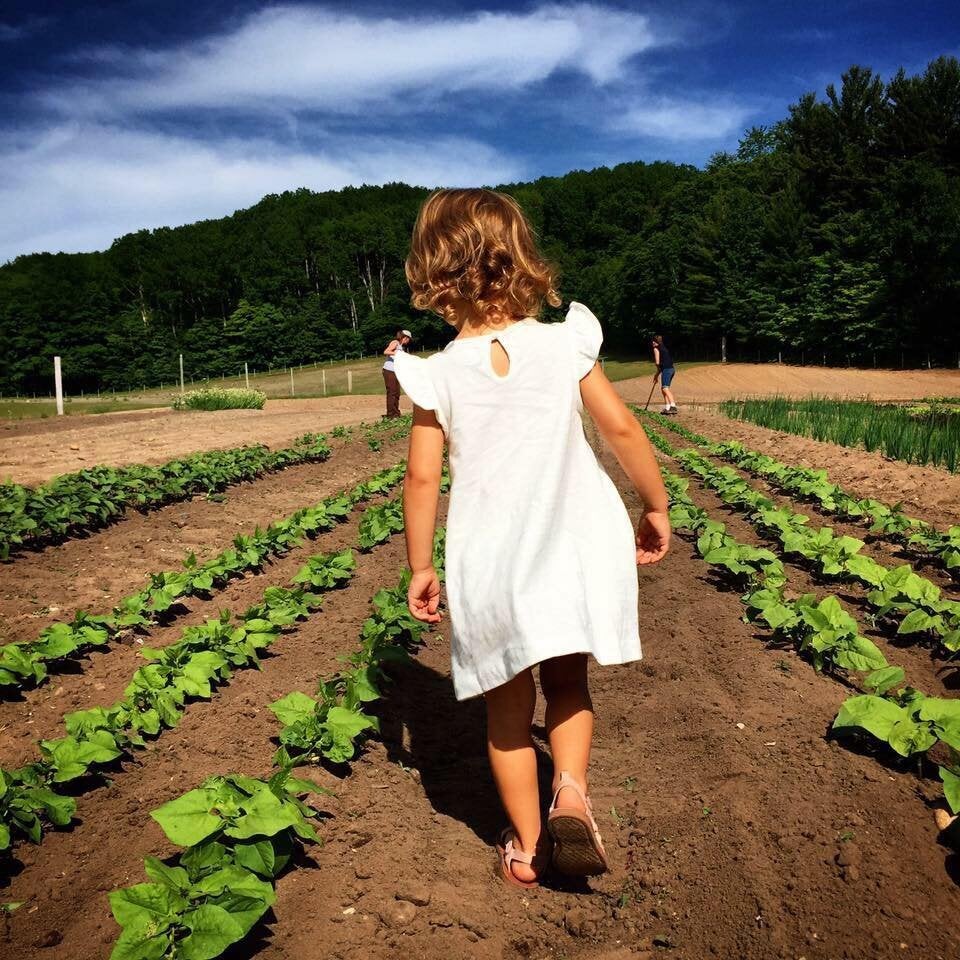 Sharing the benefits of homesteading with others