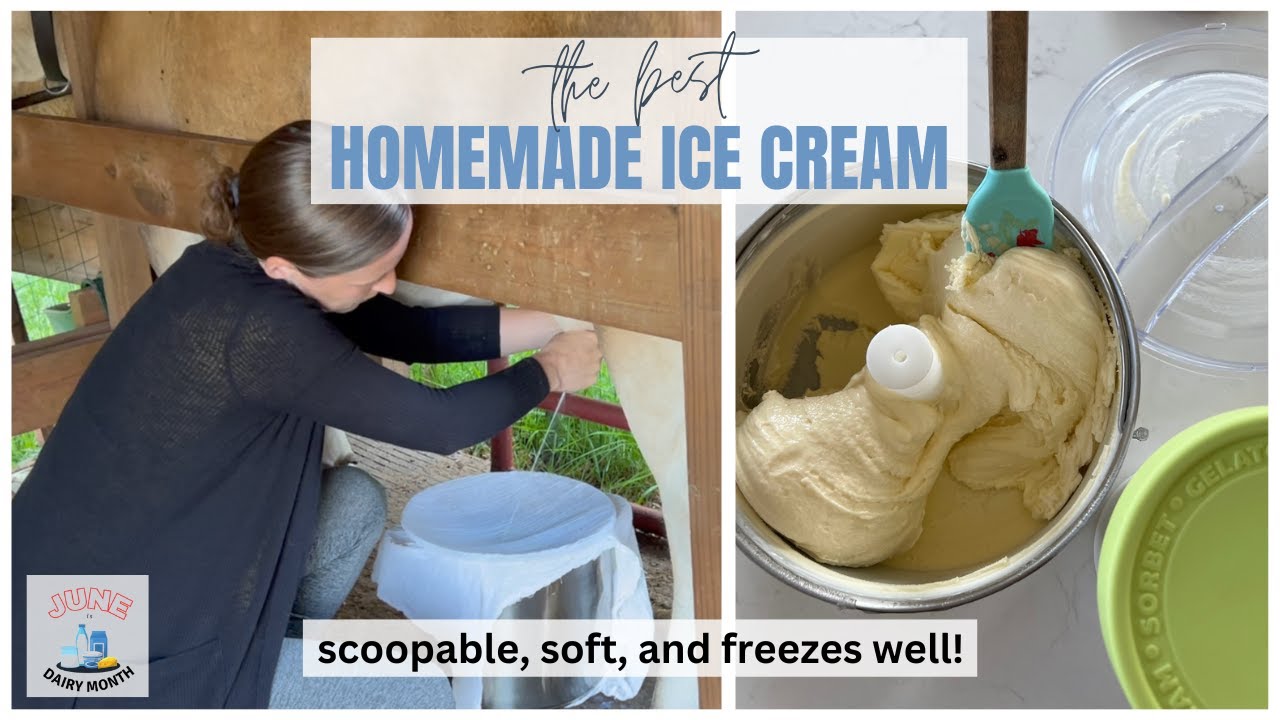 Building a micro creamery one cow at a time