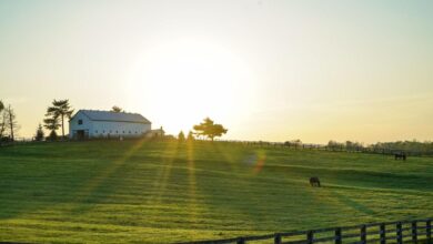 Heartland farms inc not your average farm