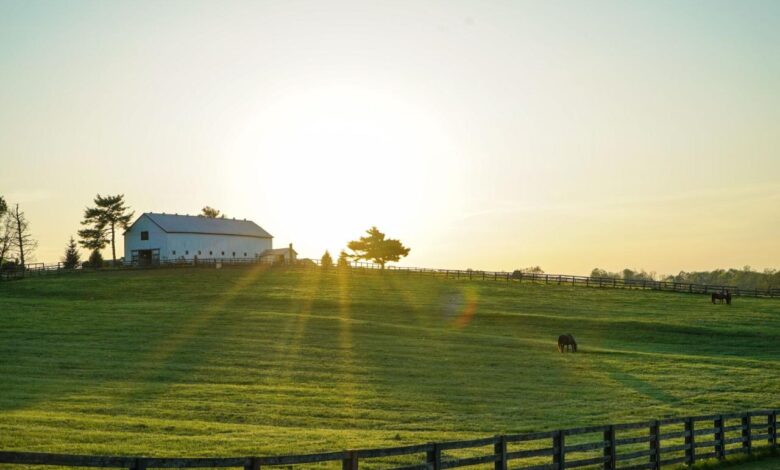 Heartland farms inc not your average farm