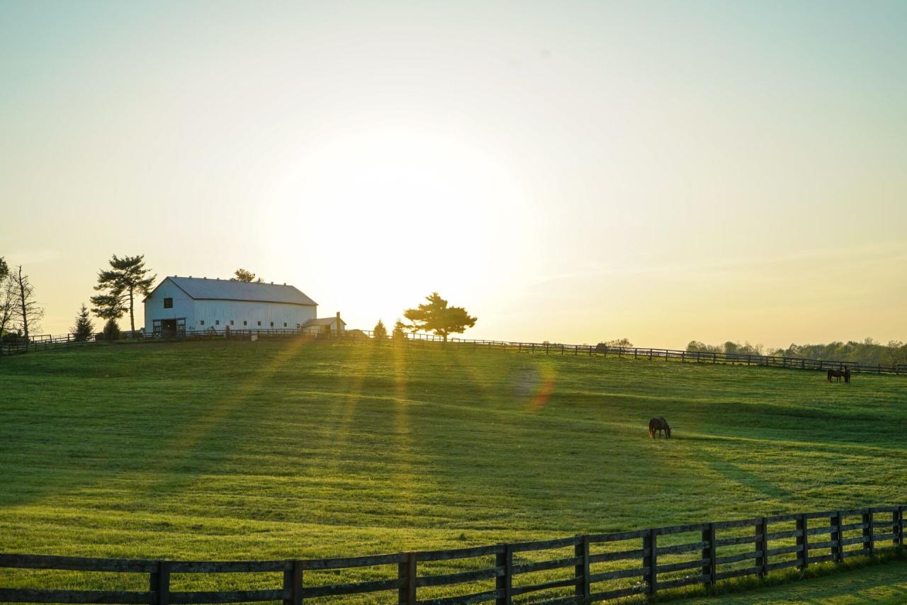 Heartland farms inc not your average farm