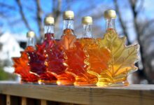 Its maple syrup time in west central wisconsin