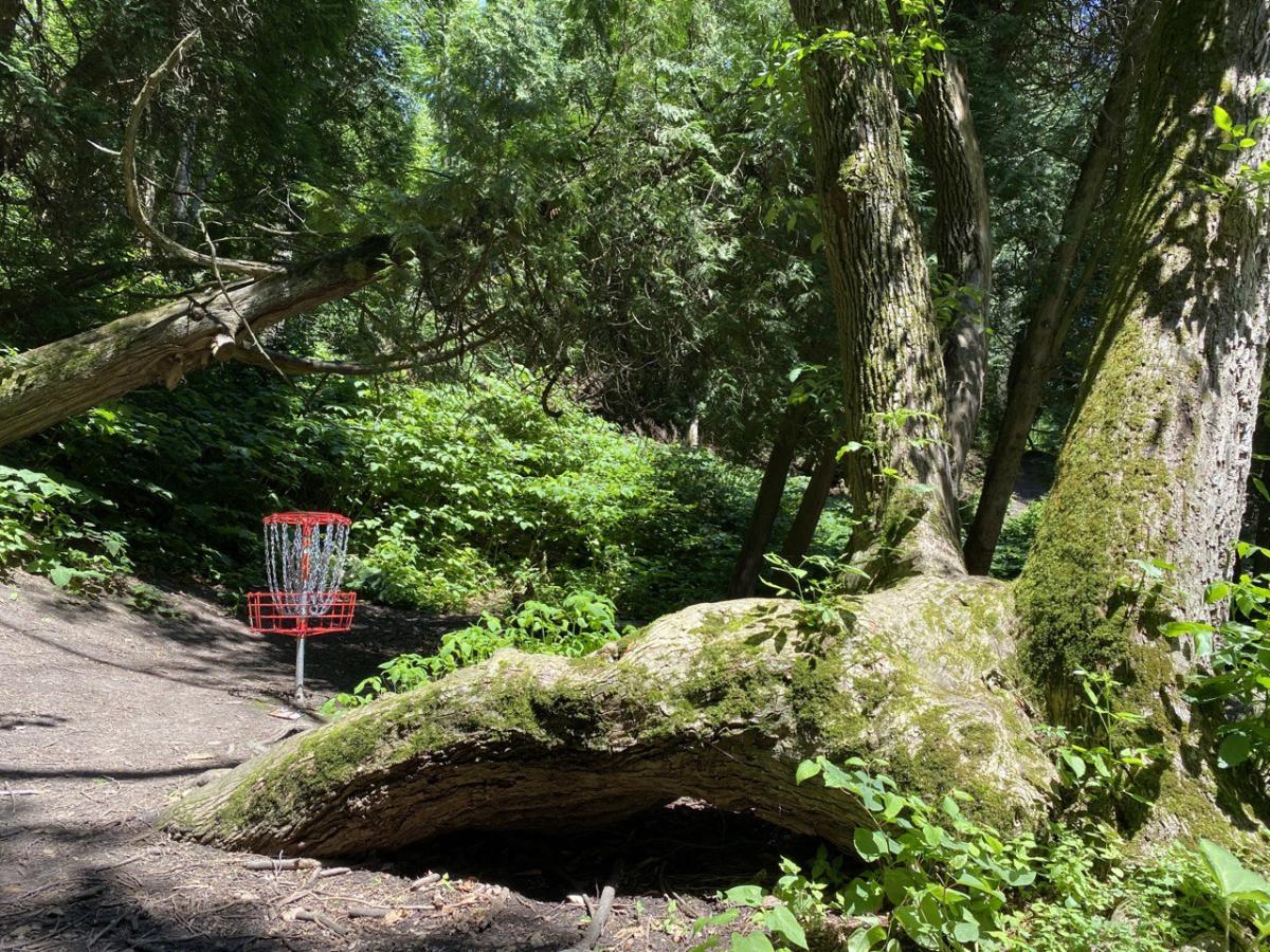 Creek silver park courses larger version