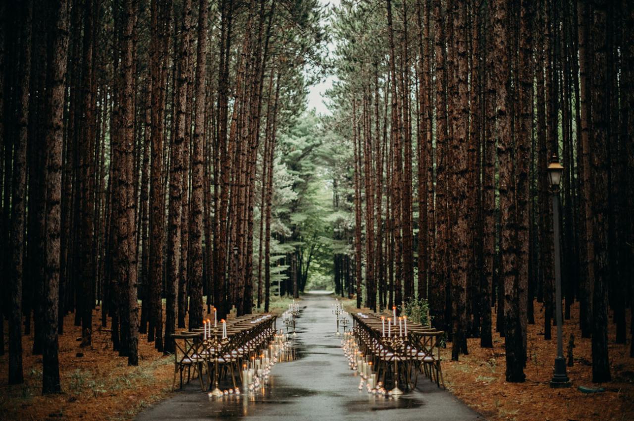 Wooded bluffs pine trees a west coast wisconsin wedding