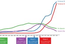 What Is Journavx, the New Opioid-Free Painkiller from Vertex?