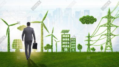 Green clean lawns the autonomous way