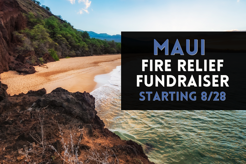 Dccc raises money for maui wildfire relief