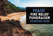 Dccc raises money for maui wildfire relief
