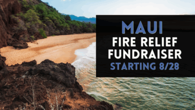 Dccc raises money for maui wildfire relief