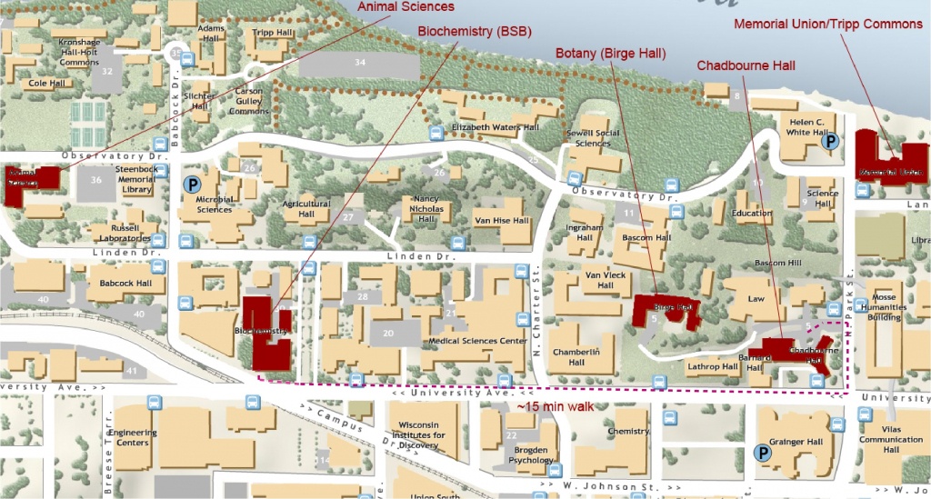 Locally made maps now featured in premier uwm collection