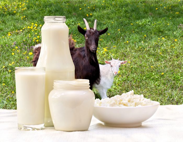 Oatmeal cinnamon soap milk goats Oatmeal cinnamon soap milk goats