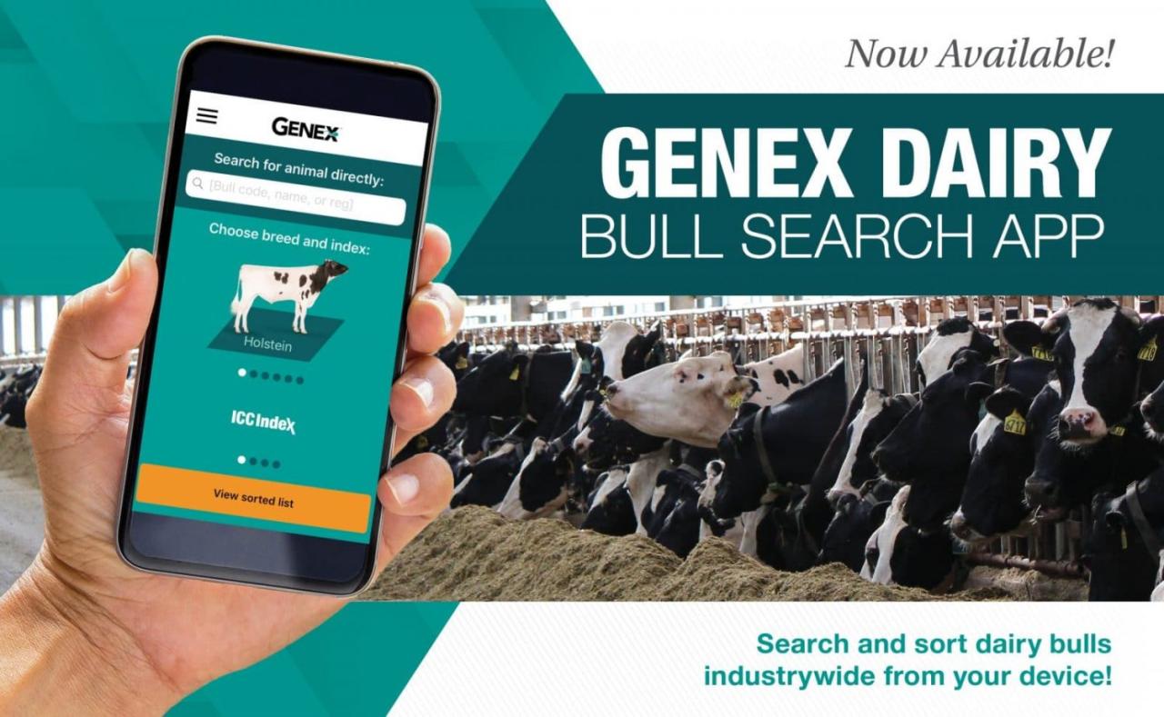 Beef exports surges Beef exports surges