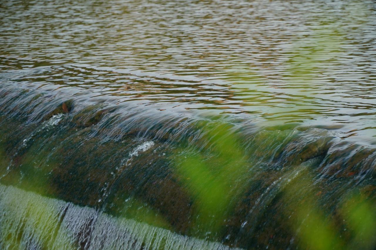 Water sanitation clean worldwide rotary essential Taking charge for cleaner waters